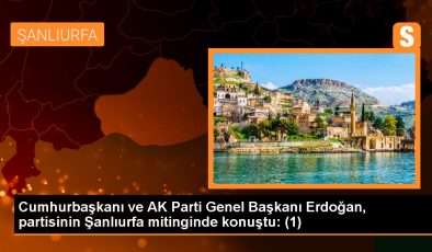 Erdoğan: Çalışanıyla, emeklisiyle, esnafıyla, çiftçisiyle her kesimden insanımızın sıkıntılarını çözecek programa ve kararlılığa biz sahibiz