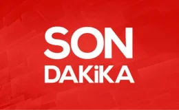 Hazine ve Maliye Bakanı Şimşek: Enflasyonist yeni vergi olmayacak, KDV, kurumlar ve gelir vergisini artırmayacağız
