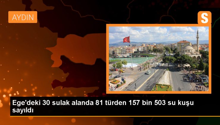 İzmir, Manisa, Aydın ve Muğla’da 30 sulak alanda 157 bin 503 su kuşu tespit edildi