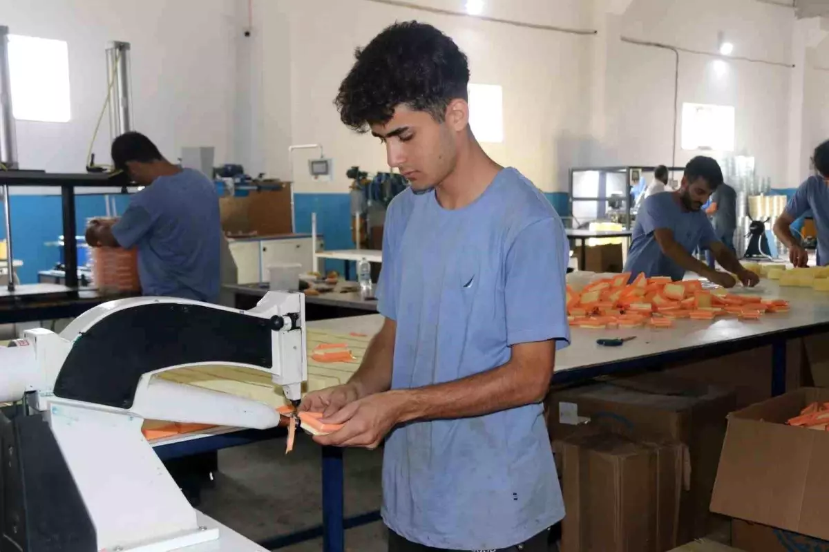 Bitlis Filtre Üretimiyle Dünyaya Açılıyor