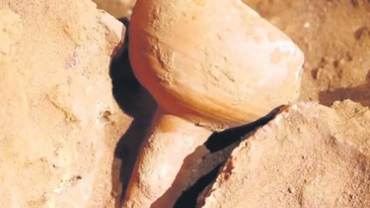 Petra’da 2 bin yıllık insan iskeletleri bulundu