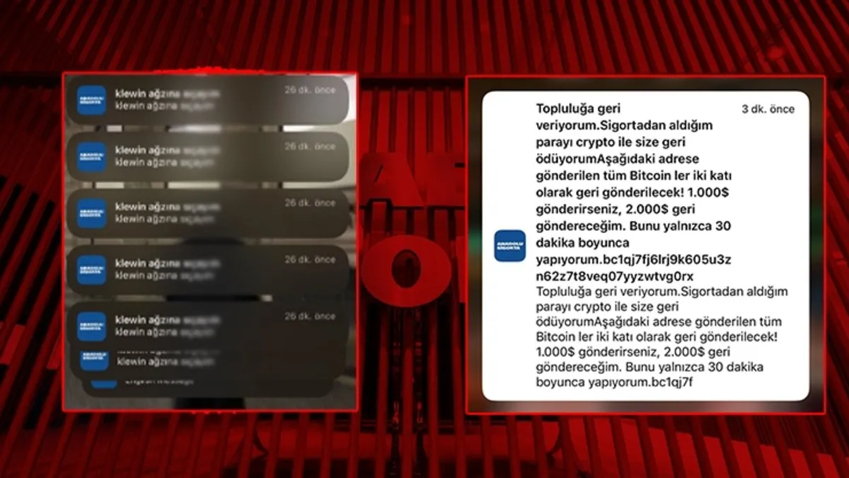 Anadolu Sigorta’dan kullanıcılara küfürlü bildirim! Hesap bilgilerini çalmaya çalıştılar