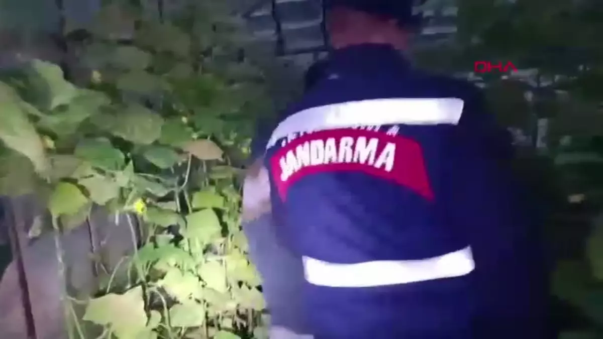 Mersin’de Uyuşturucu ve Kaçak Sigara Operasyonu: 4 Gözaltı