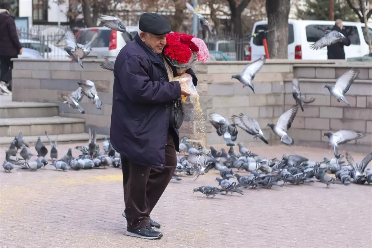 Gül Baba’nın Nezaketi