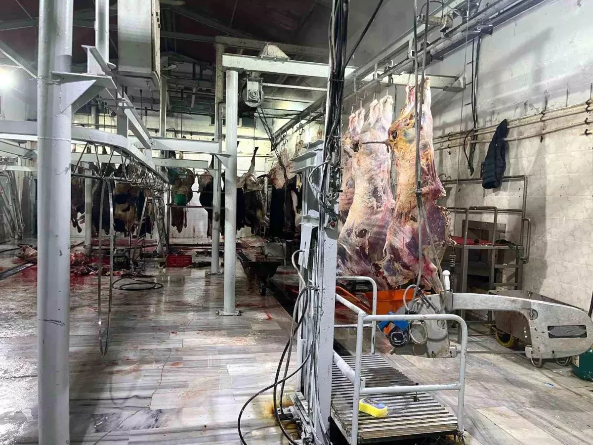 Hayrabolu’da Kaçak Kesime 105 Bin TL Ceza
