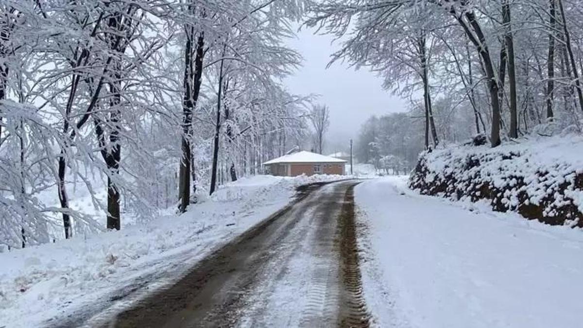 Samsun okul tatil haberi: Samsun’da okullara kar tatili! 19 Şubat 2025 Samsun okul tatili için Valilik açıklama yaptı!